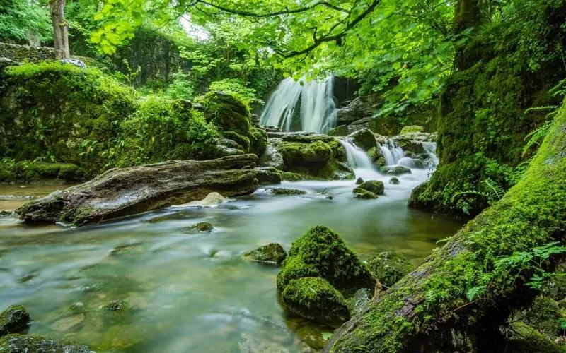 智能系统可靠性
